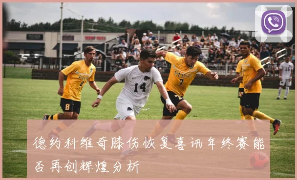 德约科维奇膝伤恢复喜讯年终赛能否再创辉煌分析