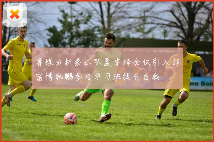 鲁媒分析泰山队夏季转会仅引入郝富博韩鹏参与学习班提升自我